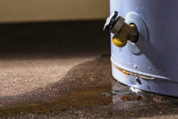 Best Ceiling water damage repair  in South Kensington, MD