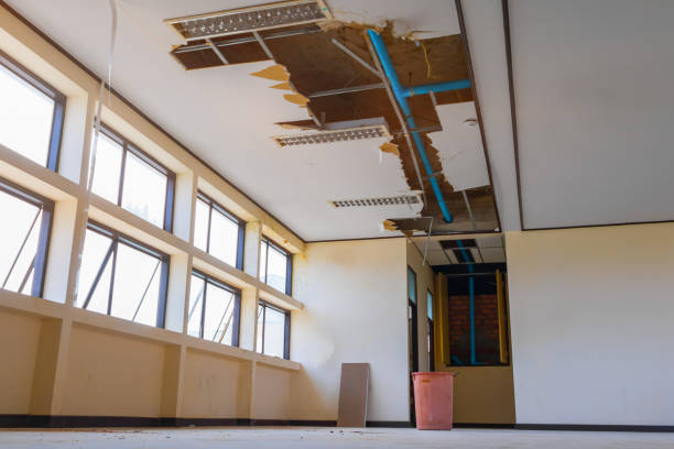 Best 24-hour water damage restoration  in South Kensington, MD