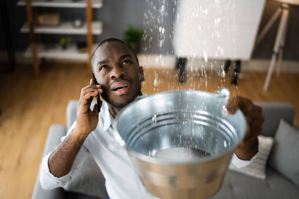 Best Water damage restoration mold remediation  in South Kensington, MD