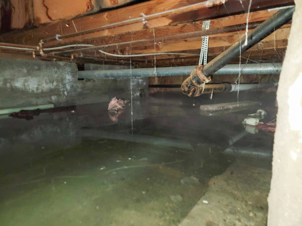 Best 24-hour water damage restoration  in South Kensington, MD