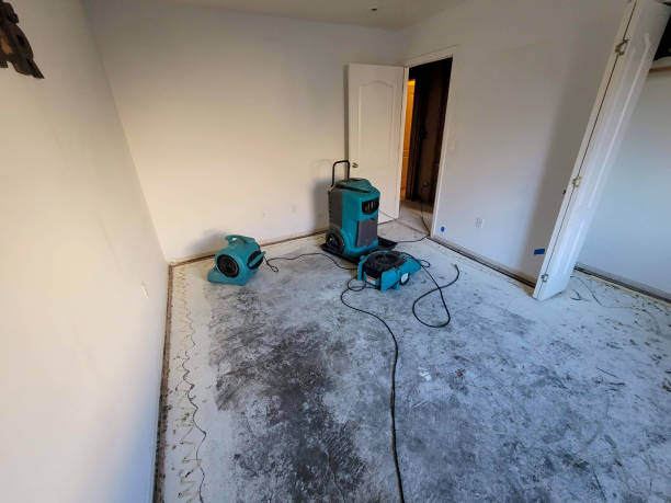 Best Flood damage cleanup  in South Kensington, MD