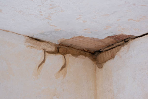 Best Fire Damage Restoration  in South Kensington, MD