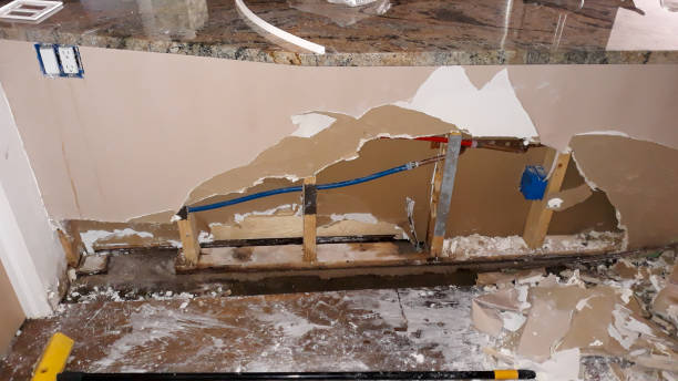 Best Sewage cleanup and water damage restoration  in South Kensington, MD