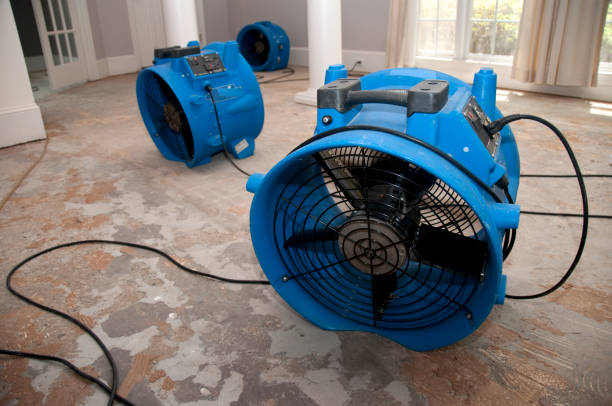 Best Flood restoration services  in South Kensington, MD