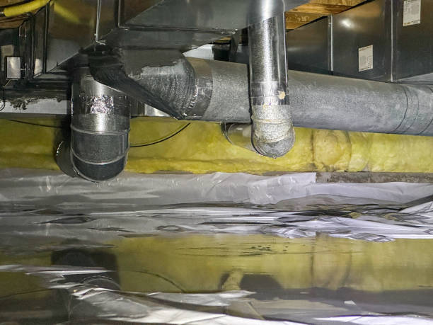 Best Mold removal after water damage  in South Kensington, MD