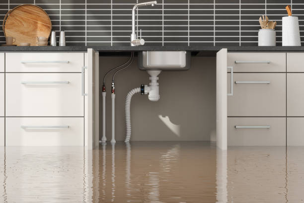 Trusted South Kensington, MD Water damage restoration Experts