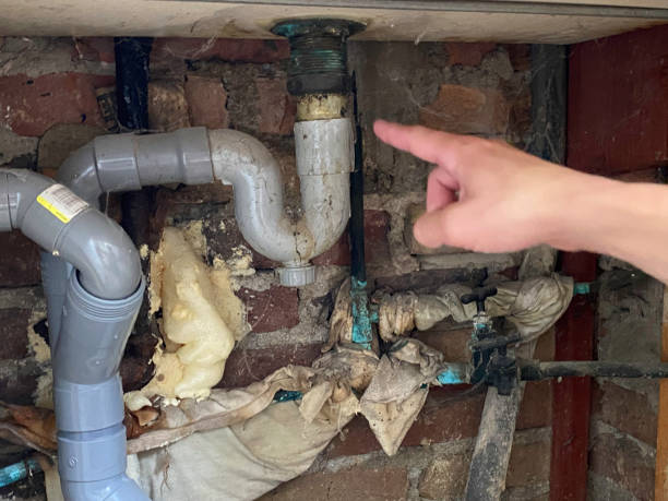Trusted South Kensington, MD Water damage restoration Experts