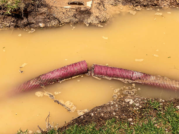 Best Carpet water damage restoration  in South Kensington, MD