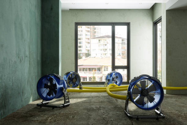 Best Carpet water damage restoration  in South Kensington, MD