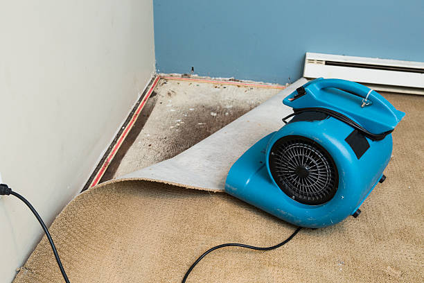 Best Local water damage restoration  in South Kensington, MD